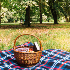 picnic-brunch